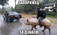запорижец за дунаем