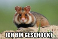  ich bin geschockt