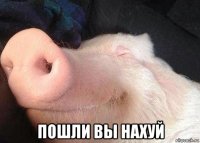  пошли вы нахуй