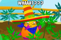 whaaat ? ? ? 