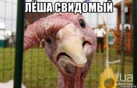 лёша свидомый 