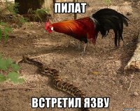 пилат встретил язву
