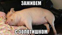 заживем с золотишком