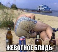  жевотное блядь