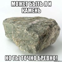 может быть я и камень но ты точно бревно!