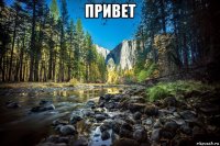 привет 