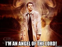 i'm an angel of the lord!