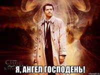  я, ангел господень!