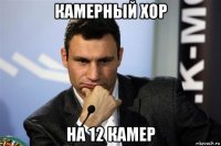камерный хор на 12 камер