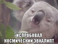  испробовал космический эвкалипт