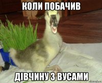 коли побачив дiвчину з вусами