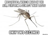 mosquitos, which mate in the air, perform a sex act that lasts only two seconds