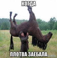 когда плотва заебала