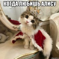 когда любишь алису 