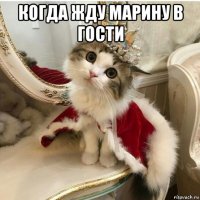 когда жду марину в гости 