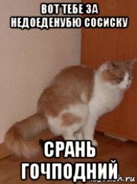 вот тебе за недоеденубю сосиску срань гочподний