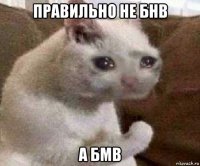 правильно не бнв а бмв