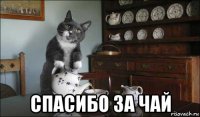  спасибо за чай