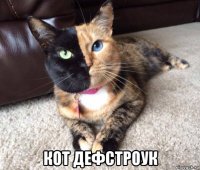  кот дефстроук