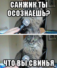 санжик ты осознаешь? что вы свинья