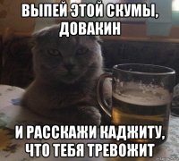 выпей этой скумы, довакин и расскажи каджиту, что тебя тревожит