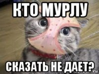 кто мурлу сказать не дает?