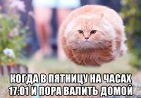  когда в пятницу на часах 17:01 и пора валить домой
