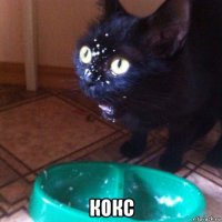  кокс