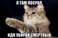 я там посрал иди убирай смертный