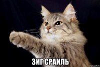  зиг сраиль