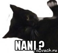  nani ?
