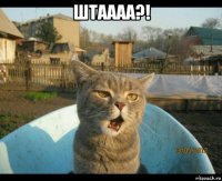 штаааа?! 