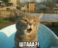  штааа?!