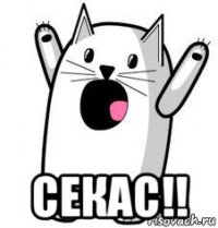  секас!!