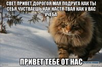 свет привет дорогоя мая подруга как ты себя чустваешь как настя твая как у вас учеба привет тебе от нас