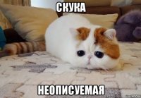 скука неописуемая
