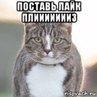 поставь лайк плиииииииз 