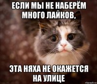 если мы не наберём много лайков, эта няха не окажется на улице