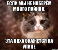 если мы не наберём много лайков, эта няха окажется на улице