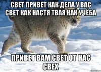свет привет как дела у вас свет как настя твая как учёба привет вам свет от нас свех