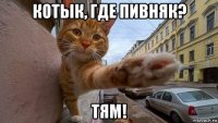 котык, где пивняк? тям!