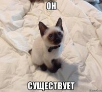 он существует