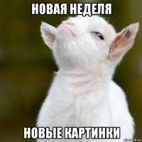 новая неделя новые картинки