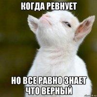 когда ревнует но все равно знает что верный