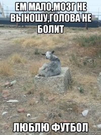 ем мало,мозг не выношу,голова не болит люблю футбол