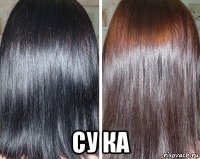  су ка