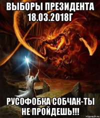 выборы президента 18.03.2018г русофобка собчак-ты не пройдешь!!!