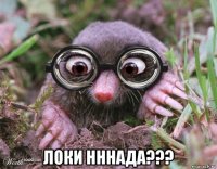  локи нннада???