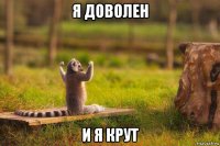 я доволен и я крут