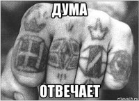 дума отвечает